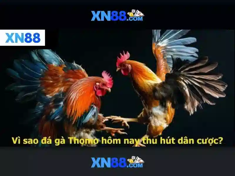  xn88 đăng nhập - XN88