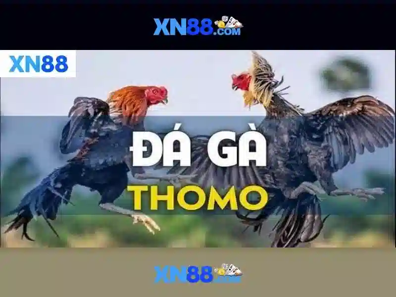 💎tỷ lệ cá cược viva88💎