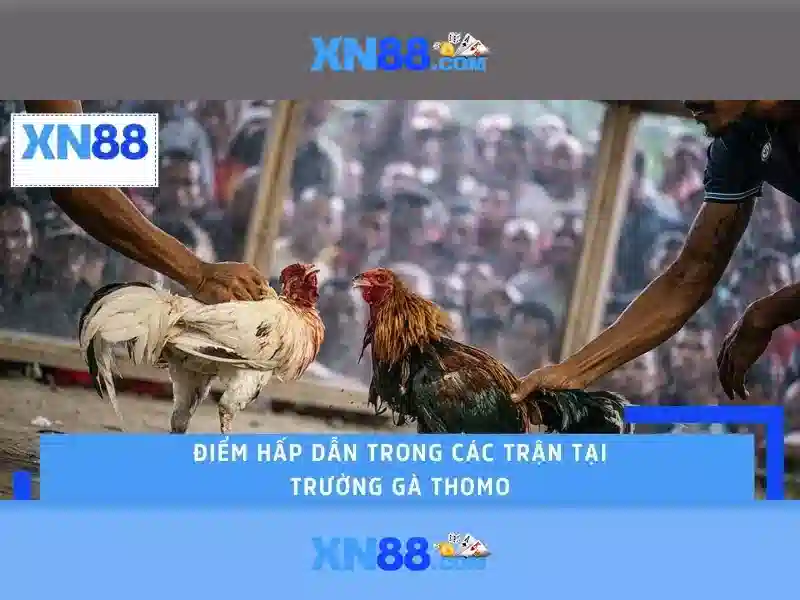 XN88 - Trang Chủ XN88 Chính Thức | Link Vào XN88 Slot 2026 - XN88
