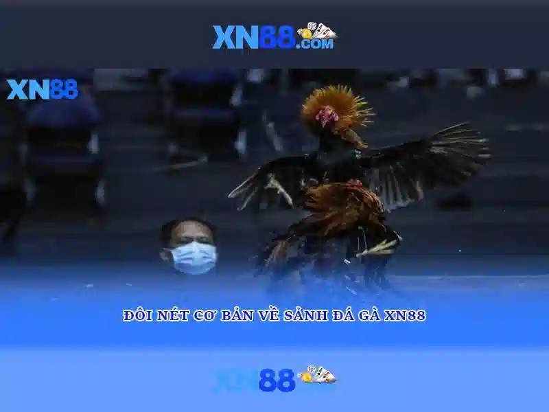 💎top 10 nha cai uy tin dvpc💎