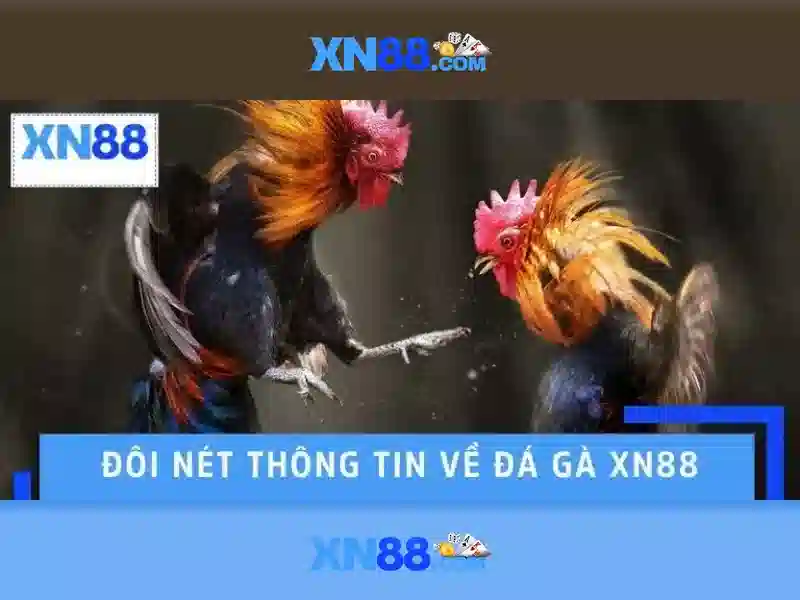 💎nổ hũ vip club - đẳng cấp game thời thượng💎