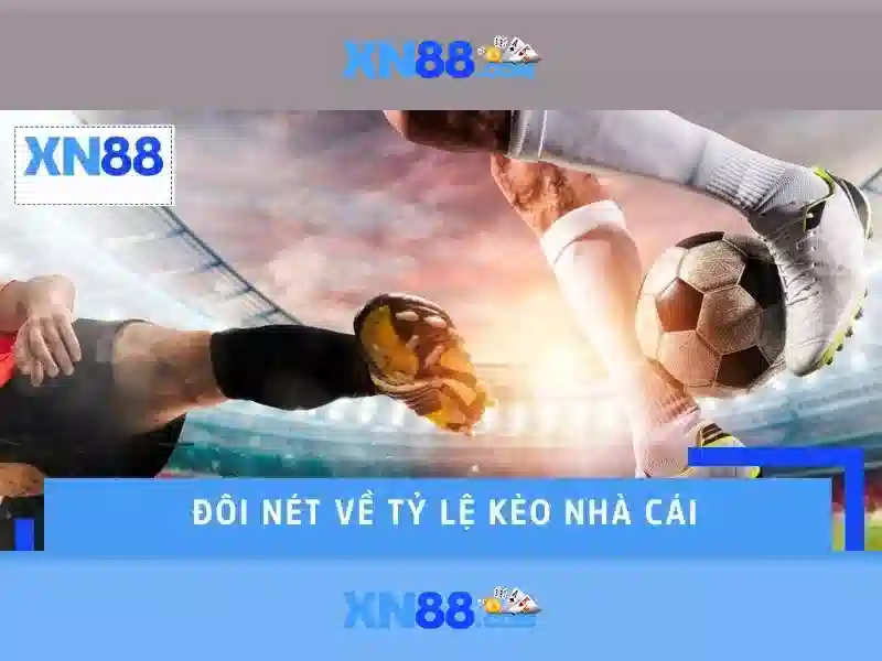 💎cược nhà cái bóng đá💎