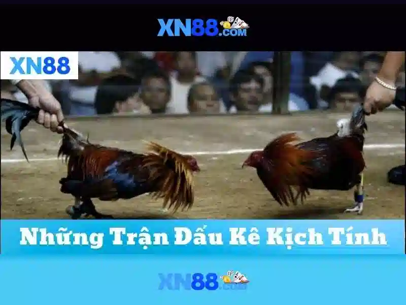 💎slot game 49 888 slot pagcor💎