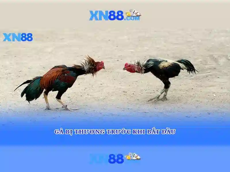  tải XN88 miễn phí - XN88