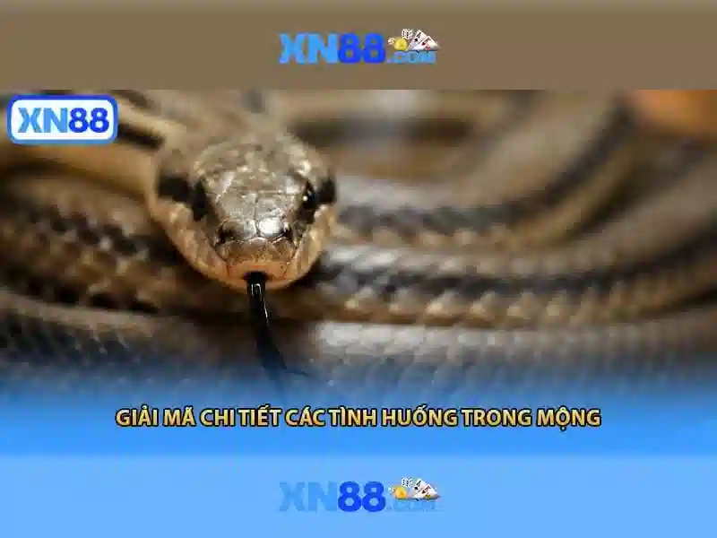 💎cài windows tại nhà chuyenvienit💎