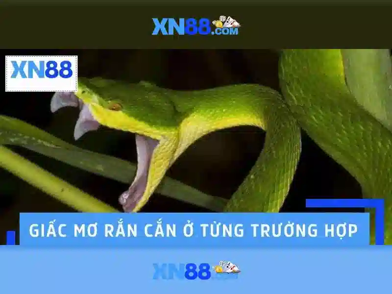  tài khoản game - XN88