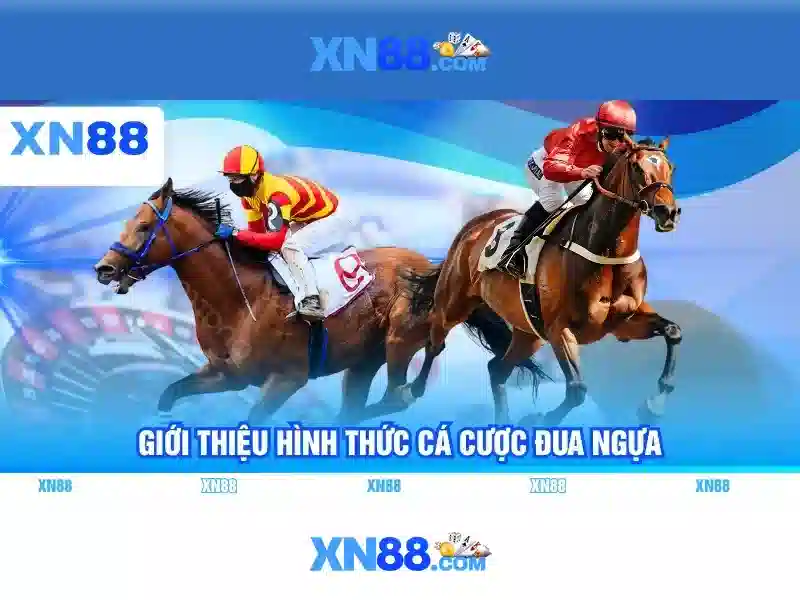  tải ứng dụng - XN88