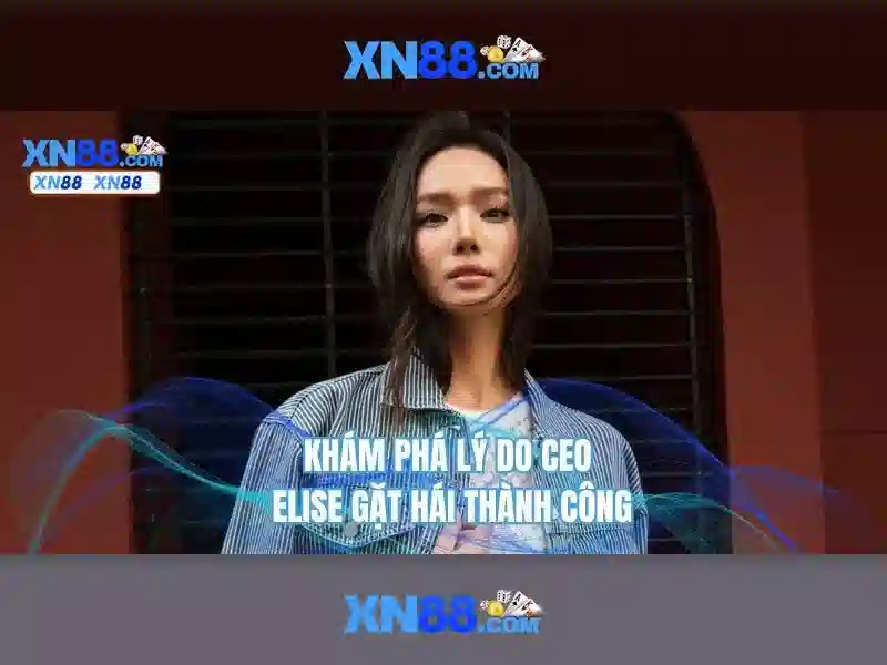 💎nhà cải 3979💎