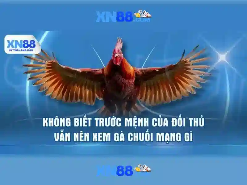 💎đánh bạc hà nội💎