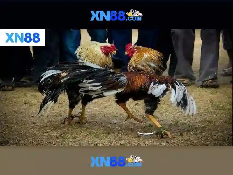 💎link vào fabet com💎 - fabet bong da - fabet đây