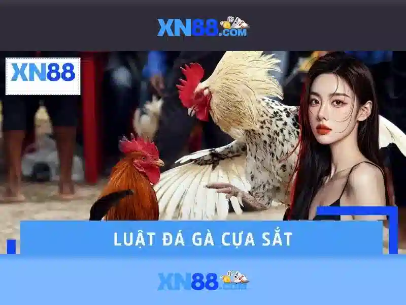 💎kèo nhà cái bồ đào nha vs uruguay💎