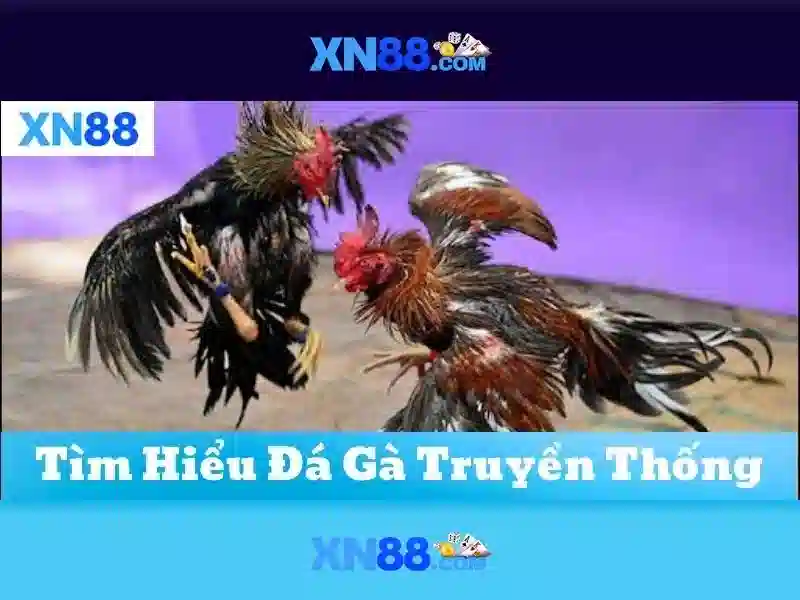 💎keo nha cai pro💎