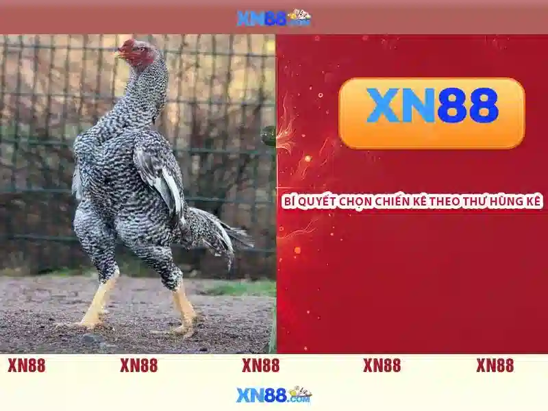 💎xn88 slot announcement💎