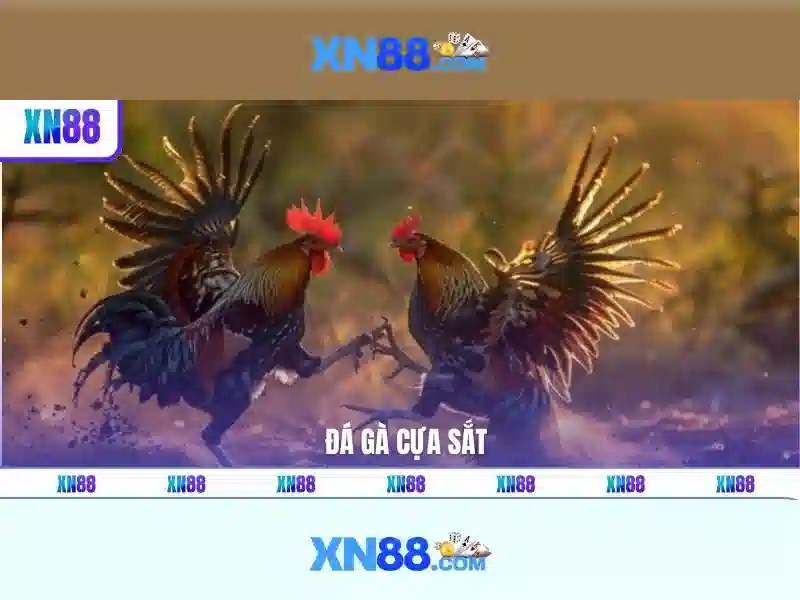 💎xn88 treasure💎