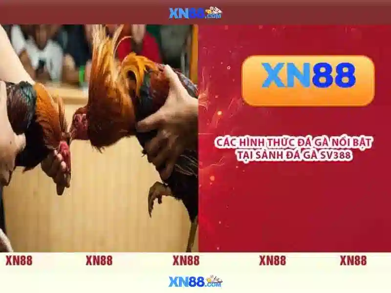 💎sin88 sin88 asia💎 - đăng nhập sin88 - sin88 today