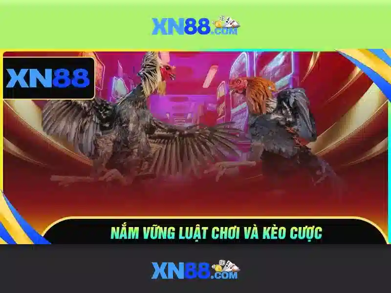 💎tổ chức đánh bạc đi tù mấy năm💎