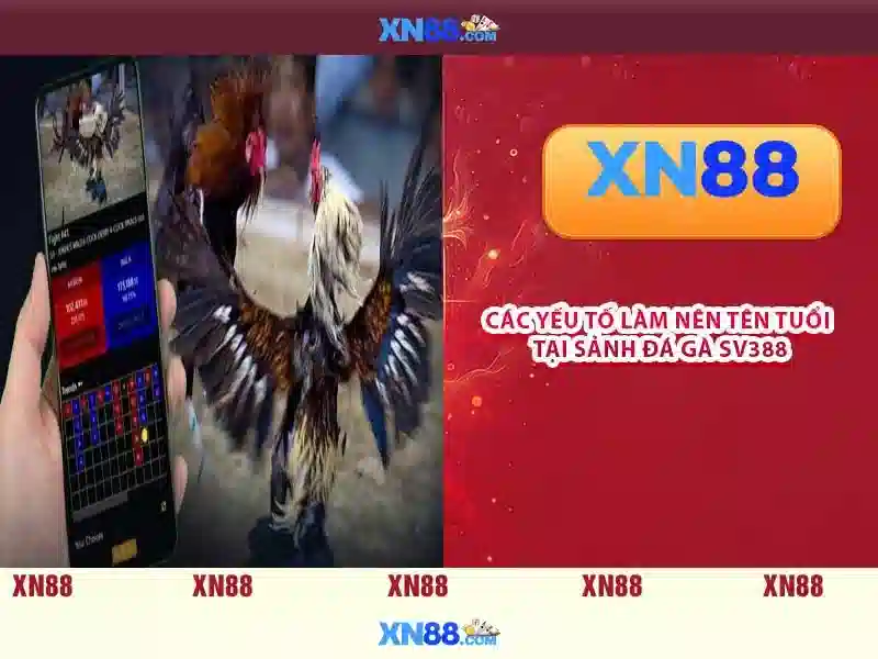 💎10 nhà cái uy tín danhbainhacai.com💎