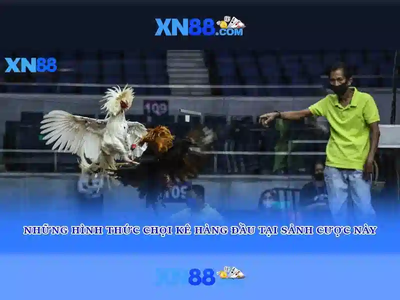 💎keo nha cai anh va thuy si💎