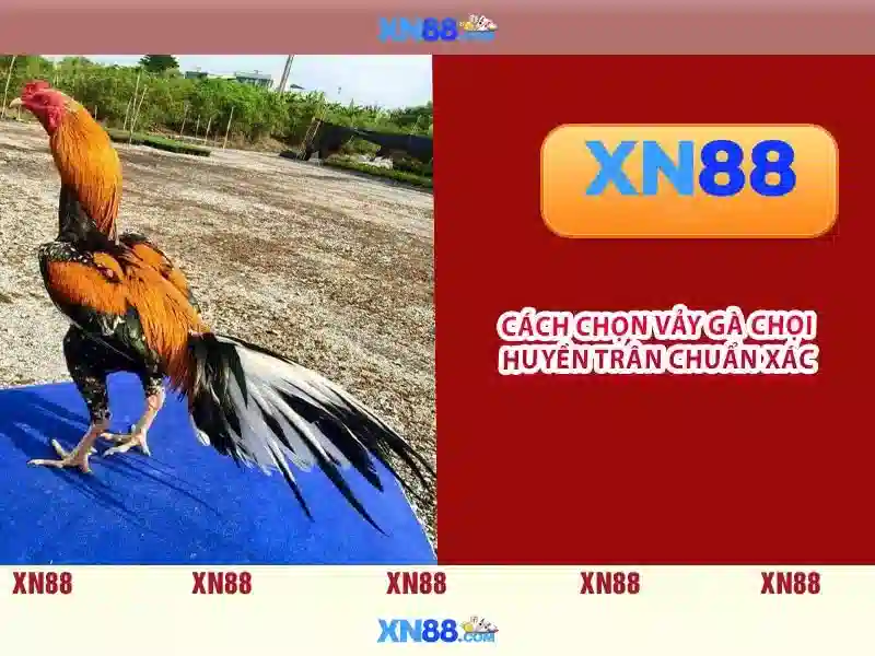 💎66b nguyễn chí sách💎 - 66b triều khúc map - 66b quang trung hải dương
