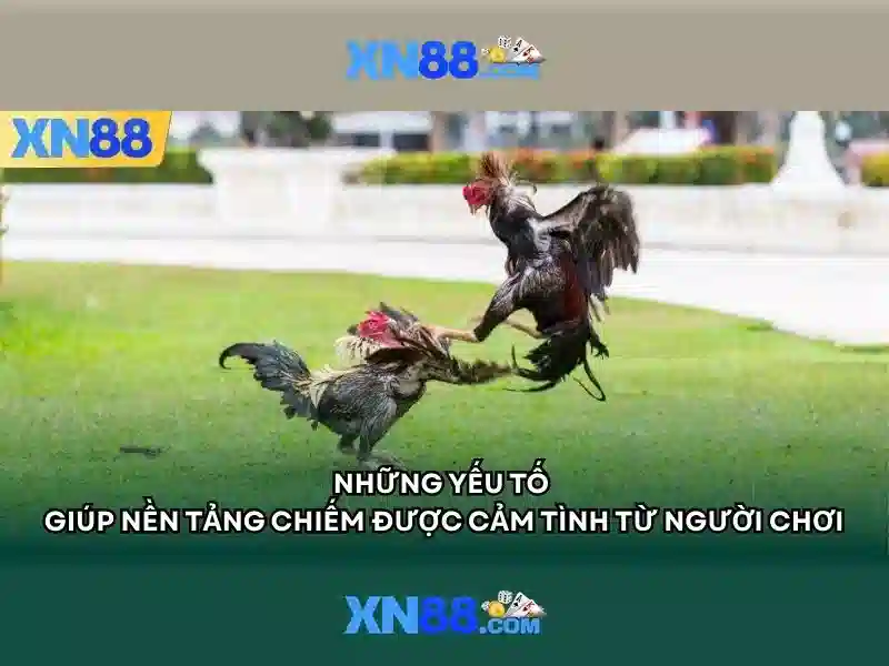 💎sân cầu 66b triều khúc💎 - 66b nguyễn sĩ sách phường 15 quận tân bình - cờ caro 66b