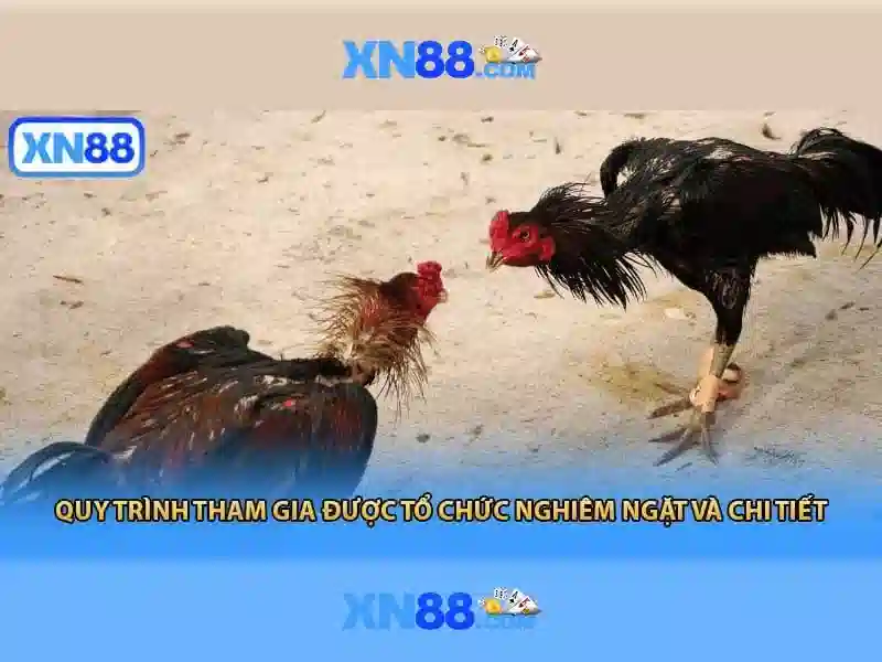 💎truyện cá cuọc💎