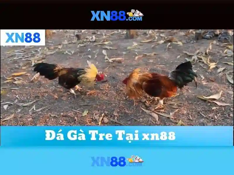 💎hb88 slot liverpool manager💎