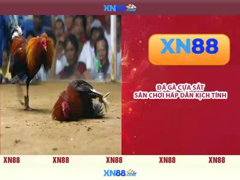 💎paypal slot machines💎