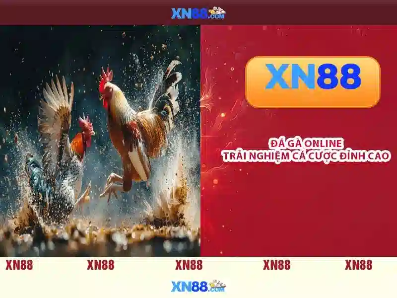 xổ số XN88 - XN88
