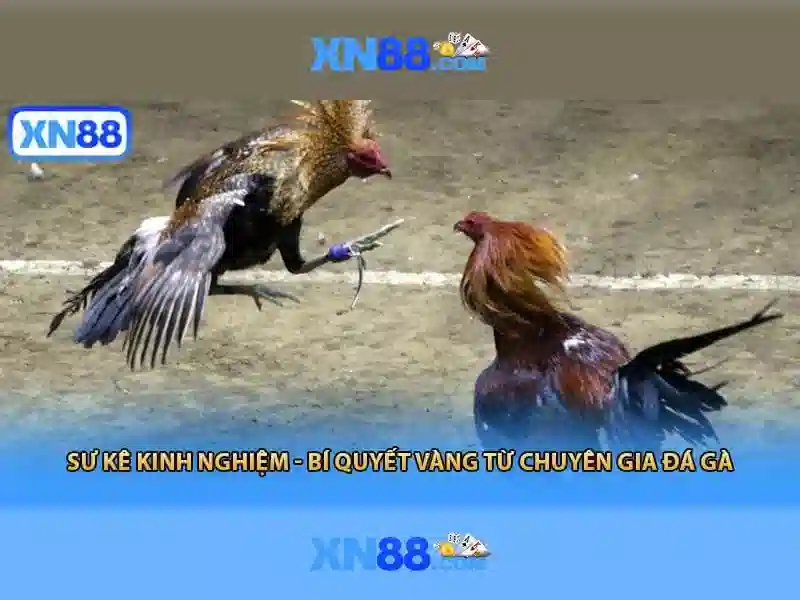 💎gezin hb88 slot💎