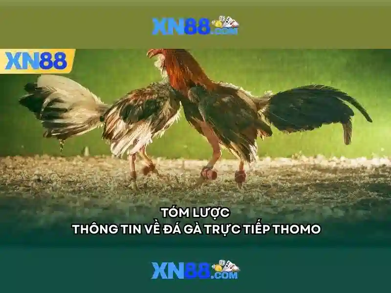 💎66b nguyễn sỹ sách phường 15 quận tân bình💎 - guess gu00198-h 66b - 66b đỗ quang
