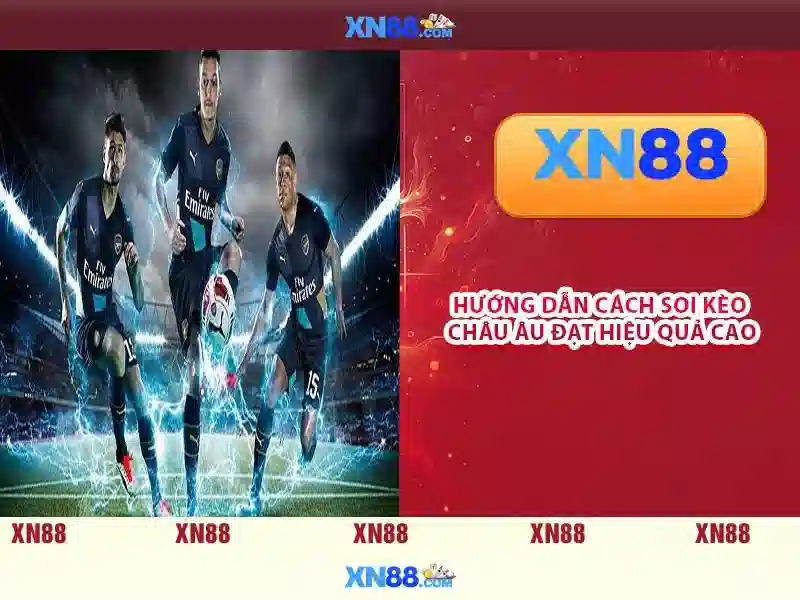💎trang cá cược bóng đá aufop com💎
