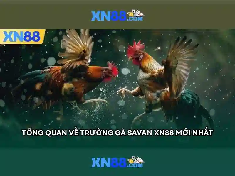 💎tỷ kèo nhà cái 5💎