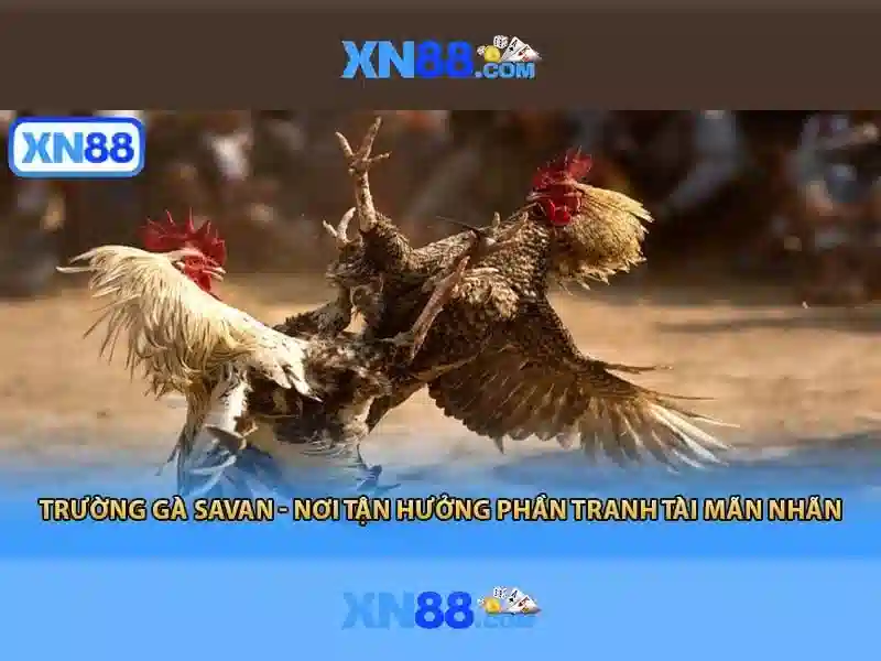 💎gambling slots tips💎