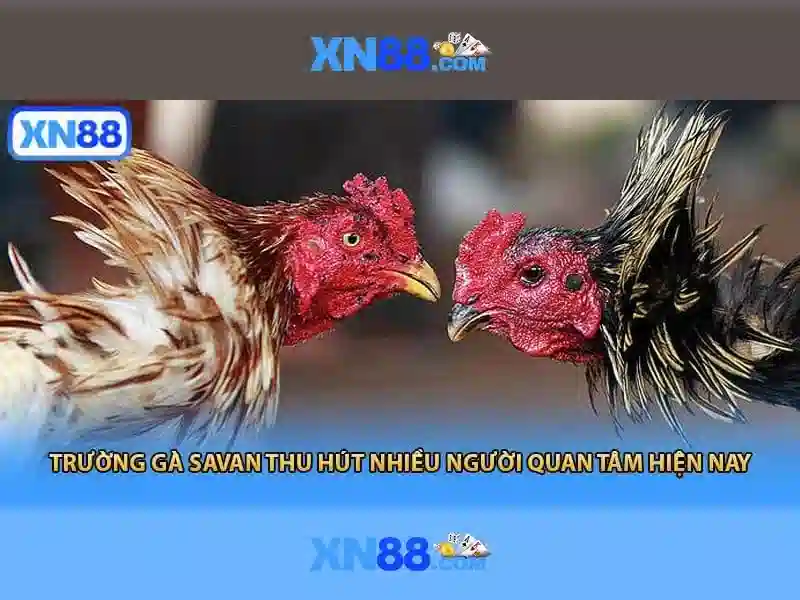 💎tỷ lệ cá cược thái lan việt nam💎