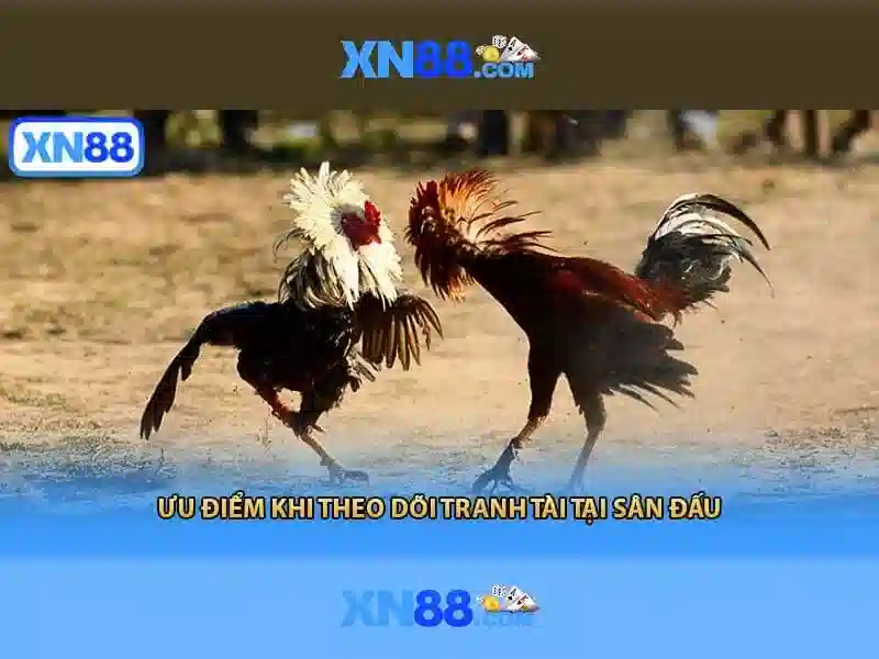 💎nhà cái vb💎