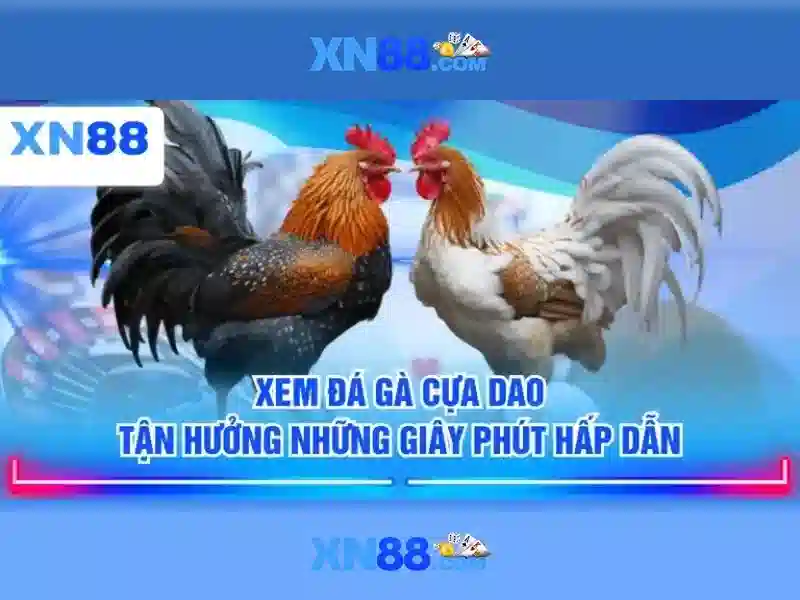 💎nhà cái kingfun💎