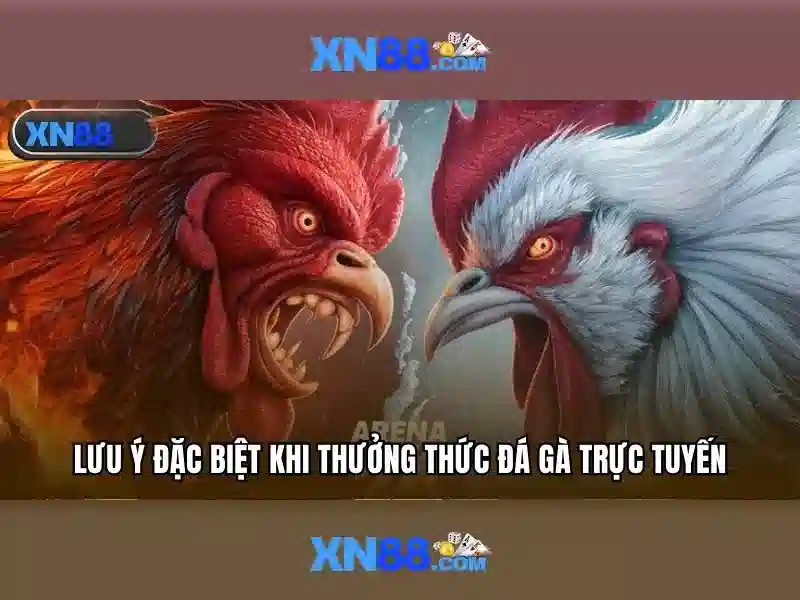 XN88 – Trang Chủ Slot Đang Chạy 2026 - XN88