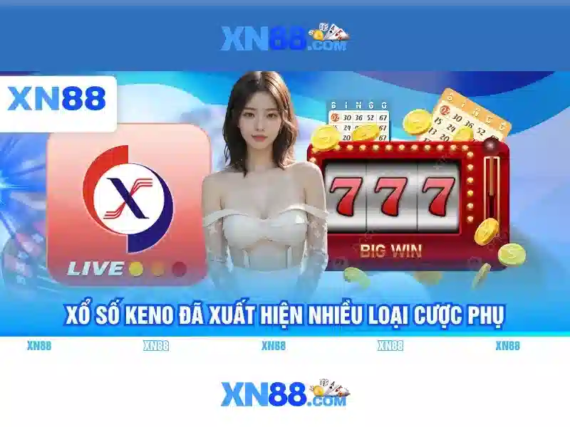 💎vụ đánh bạc và tổ chức đánh bạc💎