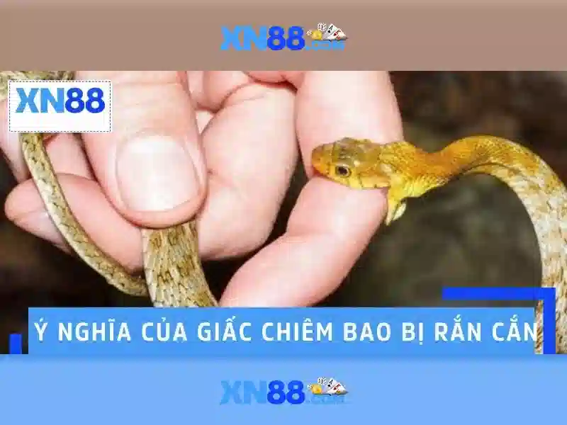 💎trách nhiệm nhà cái💎