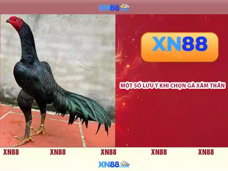 💎888slot herbal tea calories💎