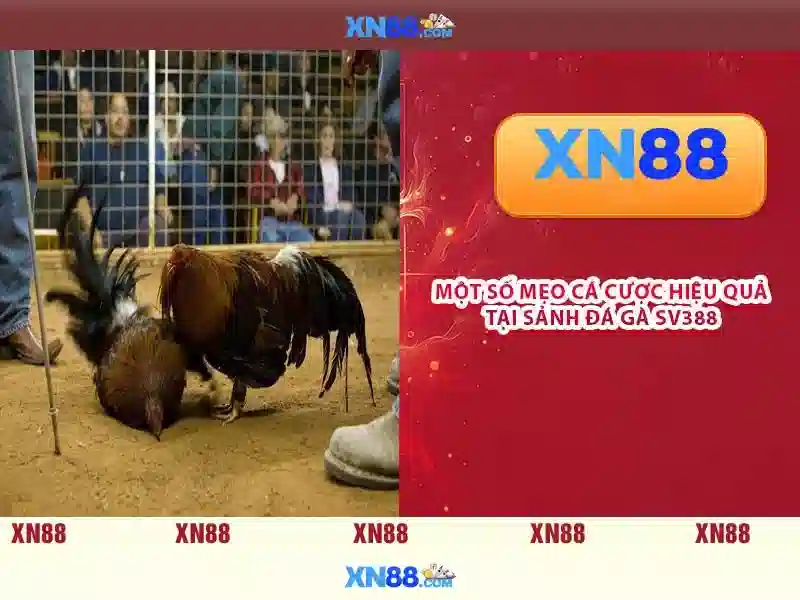 💎cats slots online💎