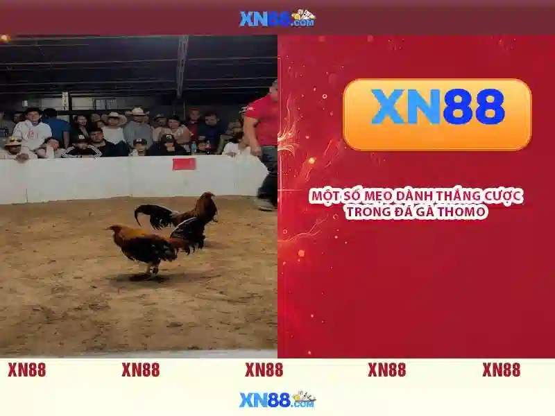 💎sóng cuồn cuộn từ nam chí bắc💎