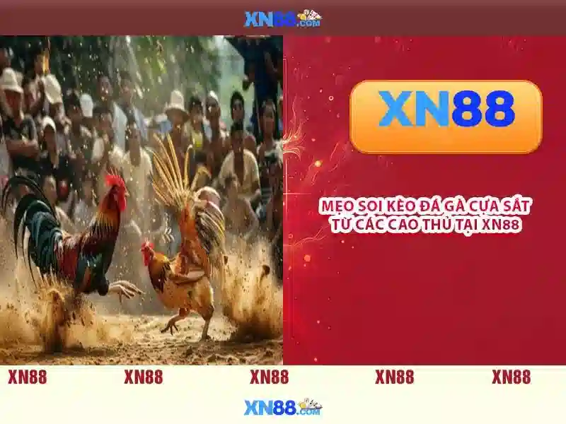 💎slot machine wins 2020💎