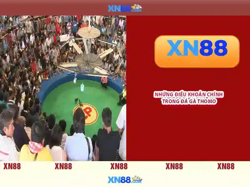 💎richard hughes hb88 slot💎