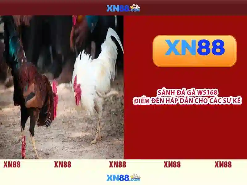 💎888 online casino💎