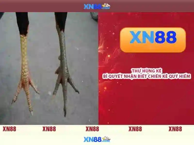 💎slot là gì trong game💎