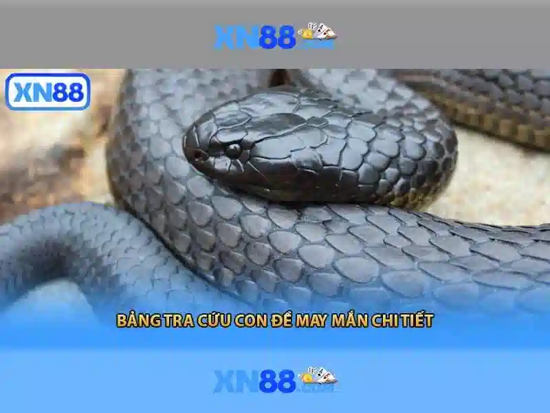 💎nhà cái uy tín ok💎