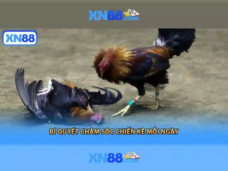 💎soi kèo nhà cái ba lan💎