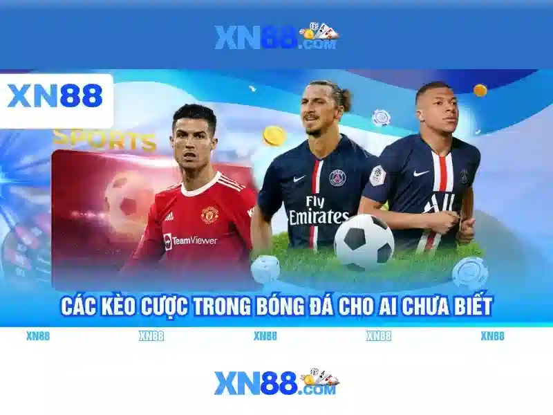 💎hb88 haarden💎