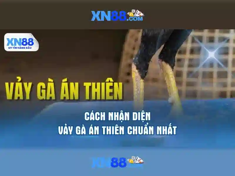 💎sieu nha cai💎